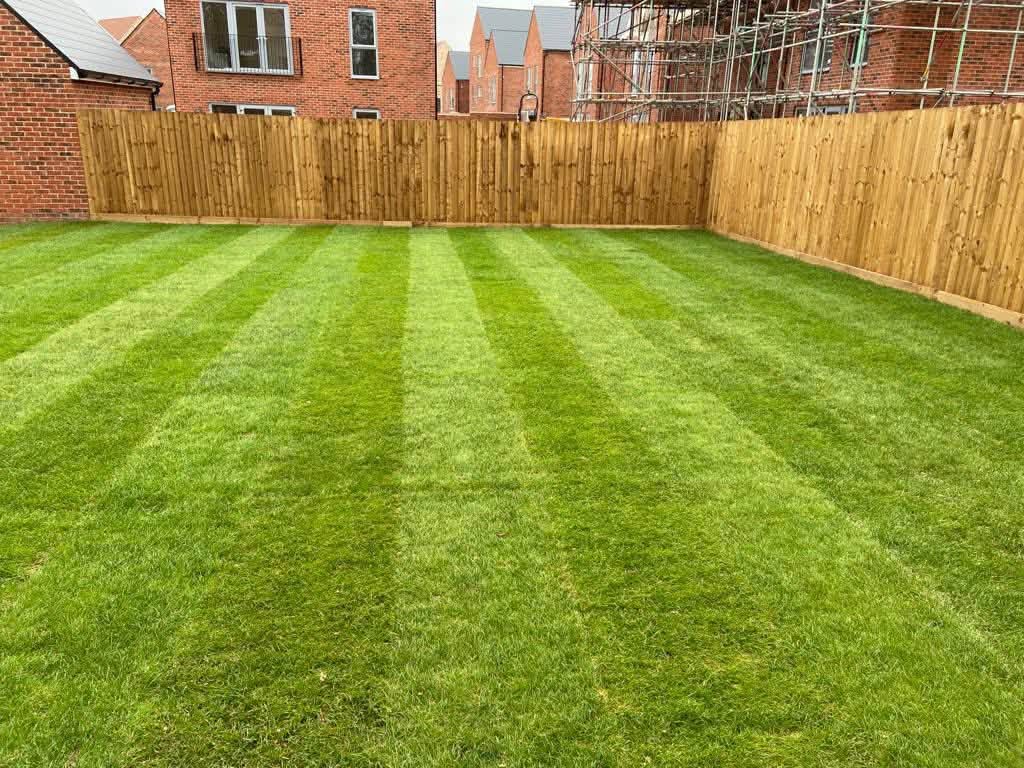 Freshly laid striped turf lawn with new timber fencing